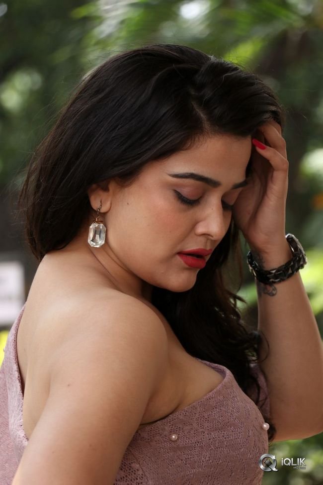 Ayesha-Singh-at-Yedu-Chepala-Katha-Movie-Prees-Meet